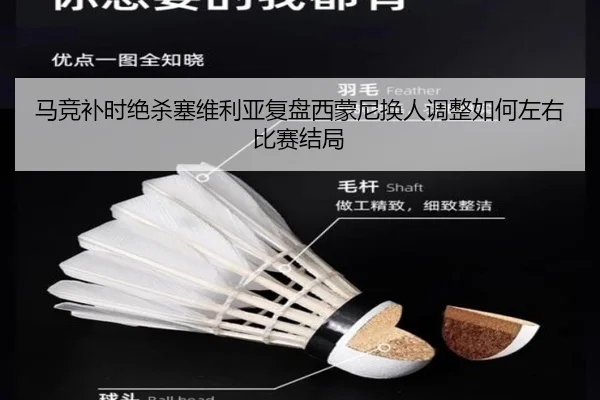 ma-jing-bu-shi-jue-sha-sai-wei-li-ya-fu-pan-xi-meng-ni-huan-ren-tiao-zheng-ru-he-zuo-you-bi-sai-jie-ju-2-205.jpg