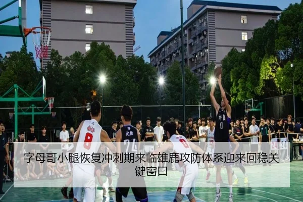 字母哥小腿恢复冲刺期来临雄鹿攻防体系迎来回稳关键窗口