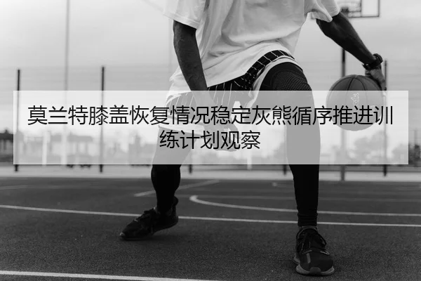 img_1783871066834_2484_1_644.jpg